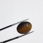 Tiger Eye 8.70 CT