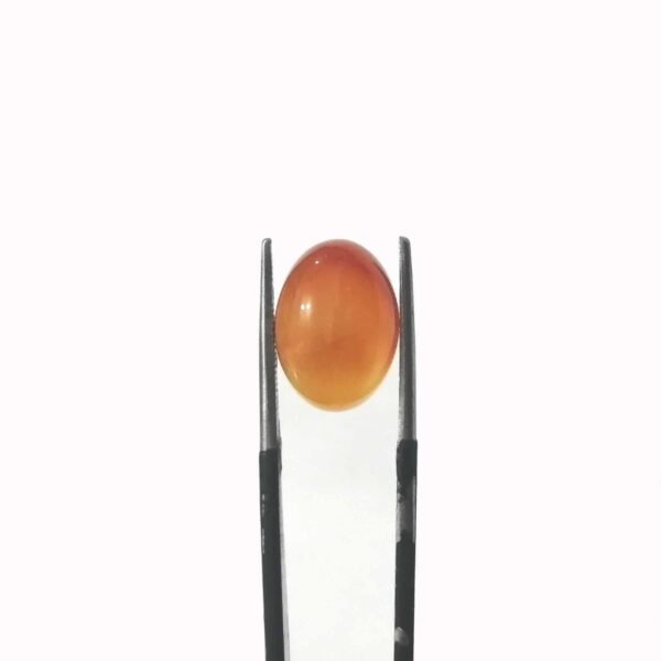 Agate 6.95ct