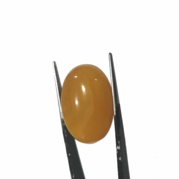 Agate 27.45ct
