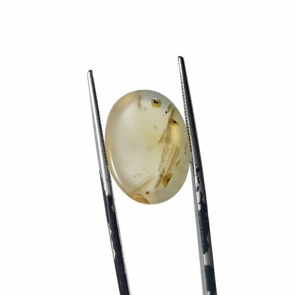 Agate Shajri 12.65ct - Image 2