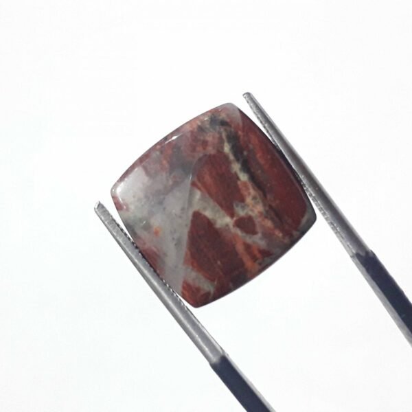 Bloodstone 9.70ct