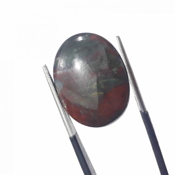 Bloodstone 12.70ct - Image 3