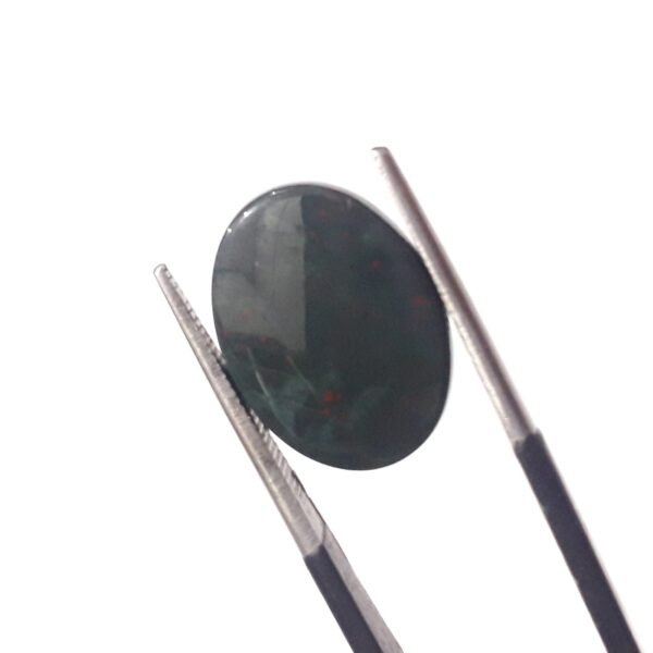 Bloodstone 4.25ct