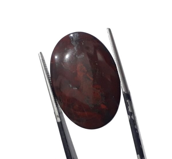 Bloodstone 13.0ct