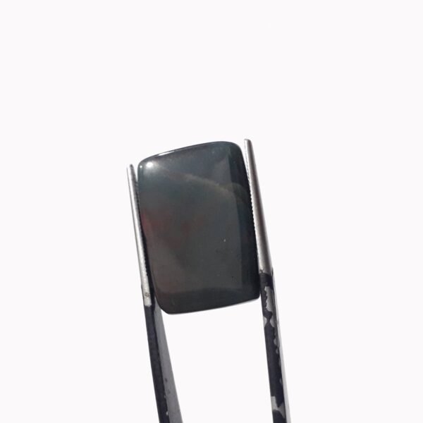 Bloodstone 16.30ct - Image 3