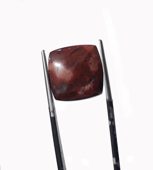 Bloodstone 9.70ct