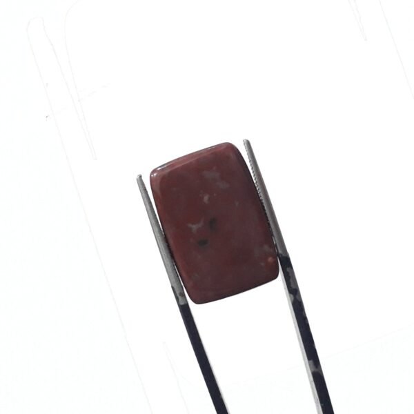 Bloodstone 14.35ct