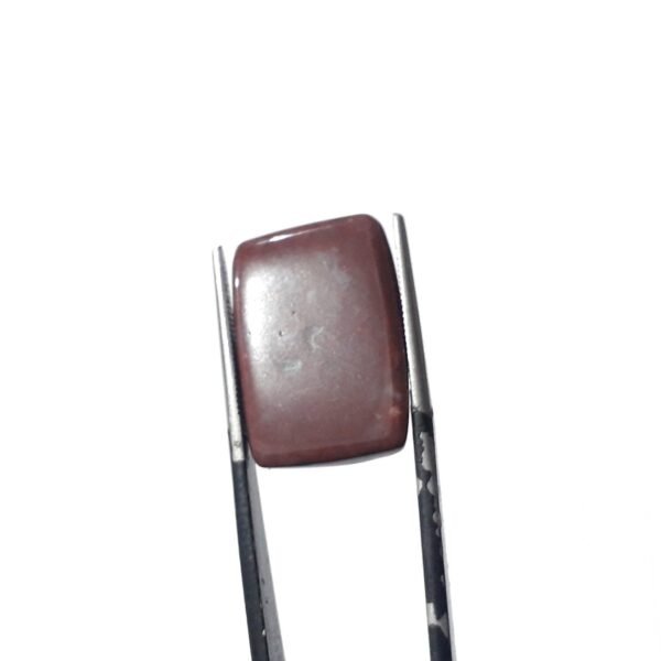 Bloodstone 14.35ct - Image 3