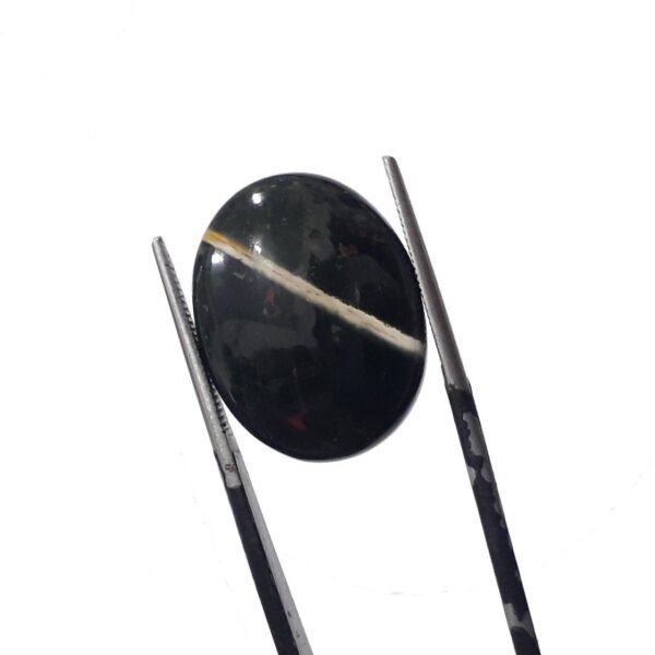 Bloodstone 15.00ct
