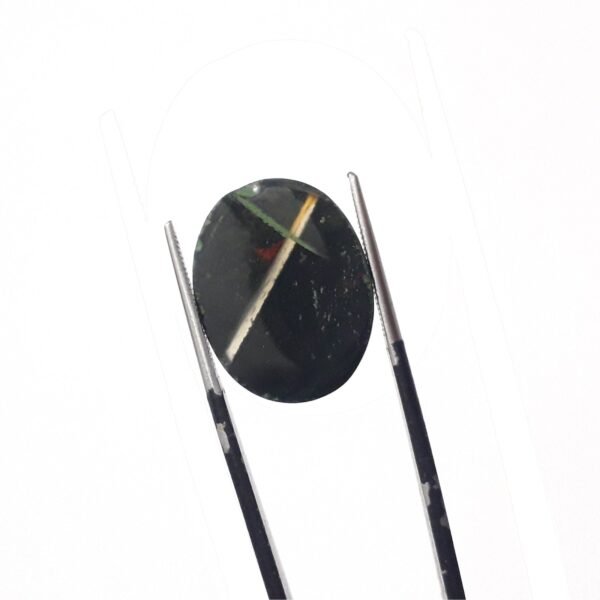 Bloodstone 15.00ct - Image 4