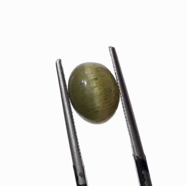 Srilanka cat eye 3.20ct