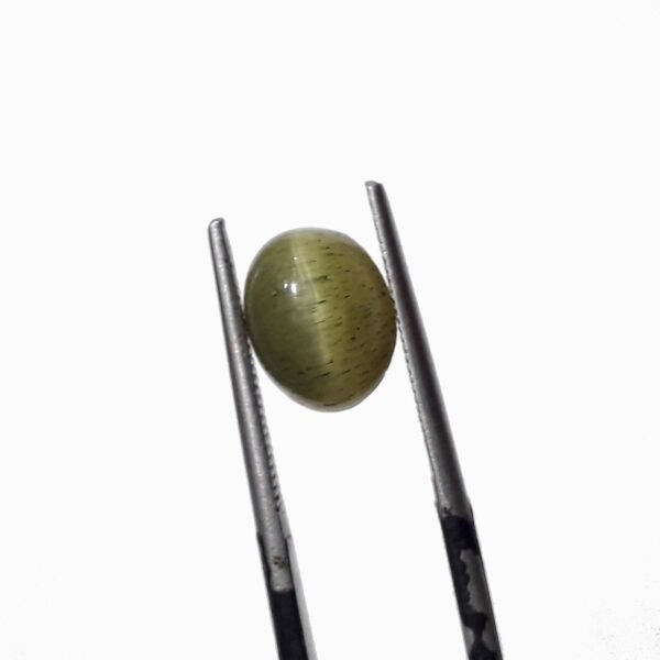 Srilanka cat eye 3.20ct - Image 3