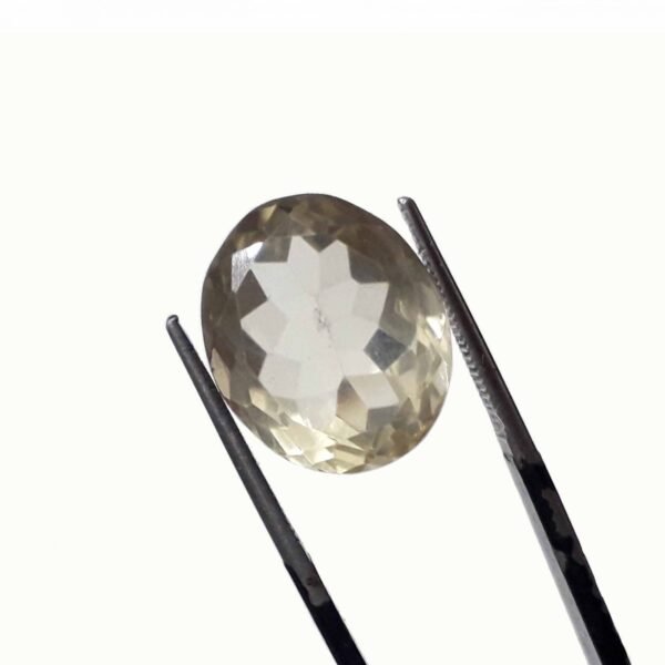 Citrine 13.55ct