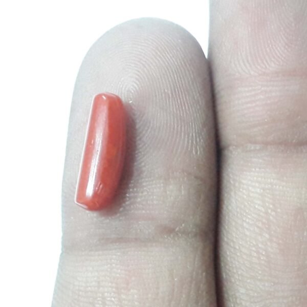 coral 2.70ct - Image 2