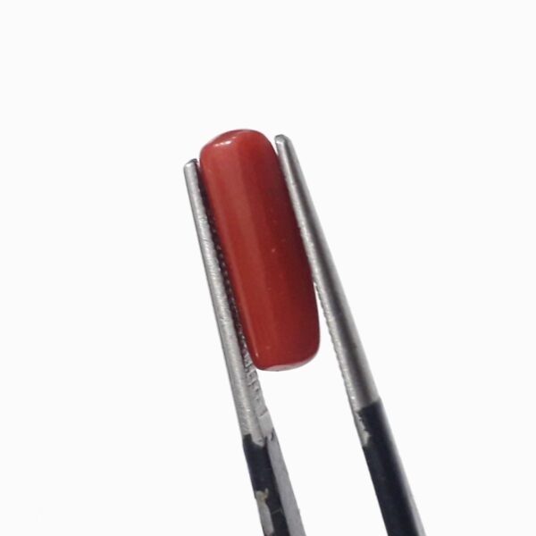 coral 2.70ct - Image 4