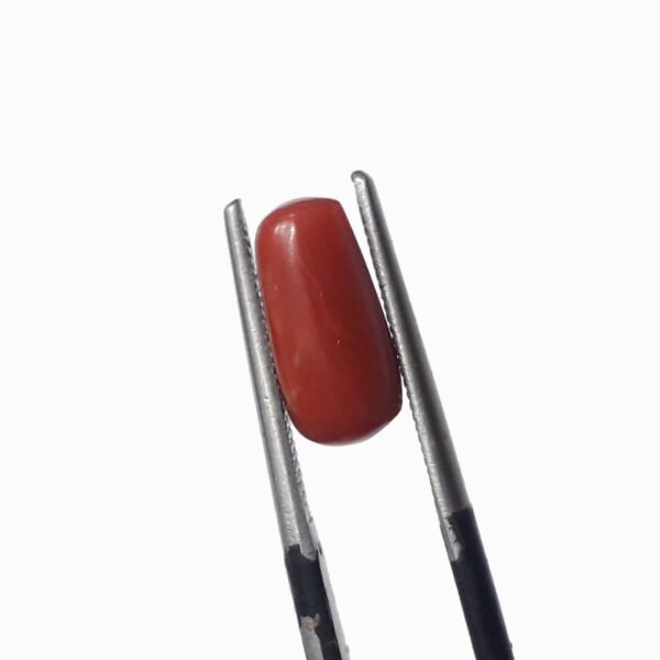 coral 2.50ct