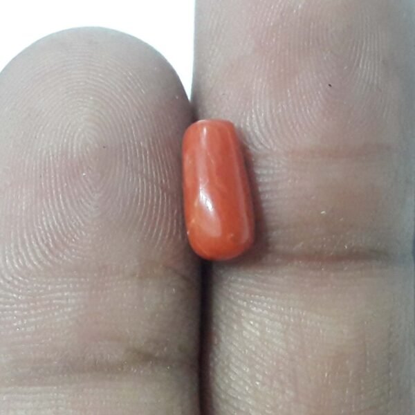 coral 2.50ct - Image 2