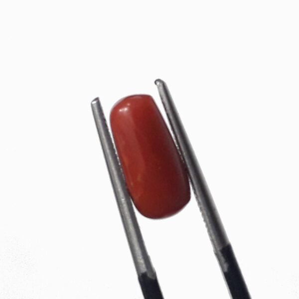 coral 2.50ct - Image 3