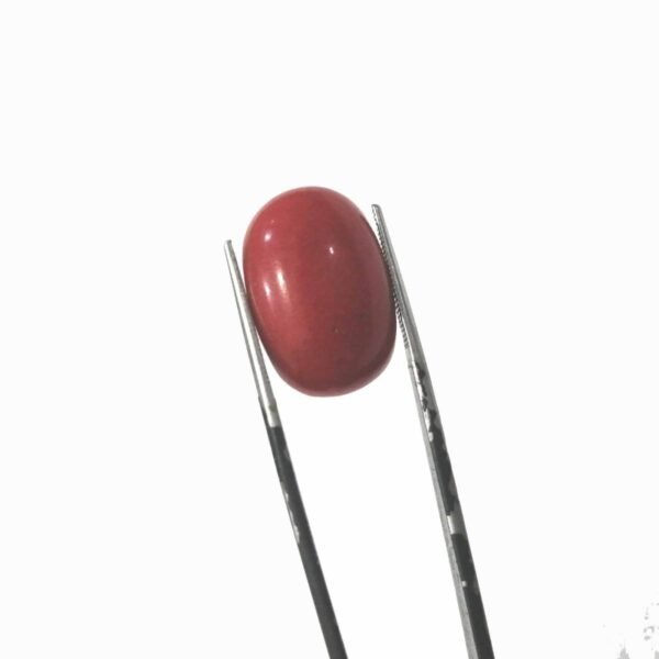 coral 18.35ct