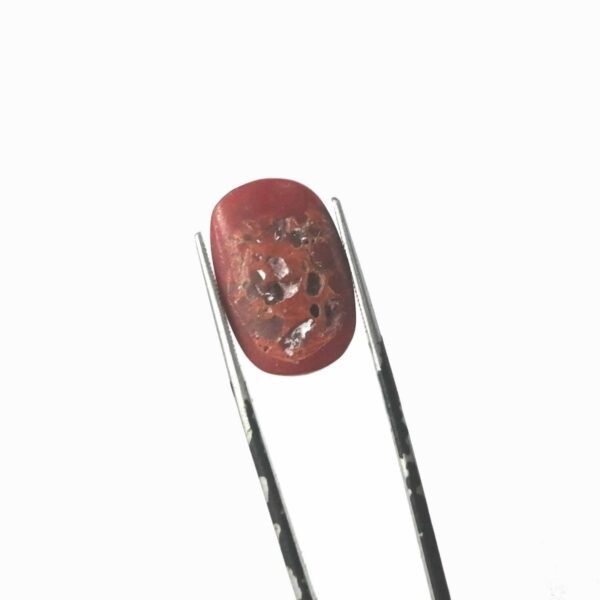 coral 18.35ct - Image 3
