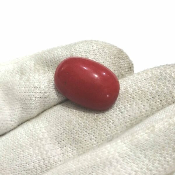 coral 18.35ct - Image 2