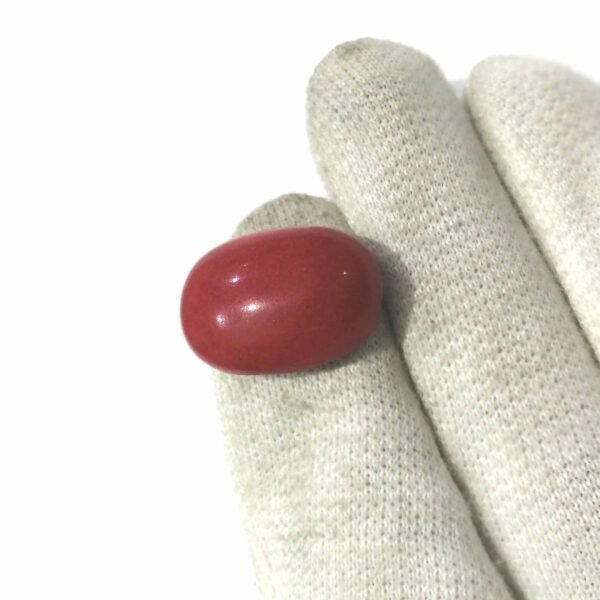 Coral 20.20ct - Image 2