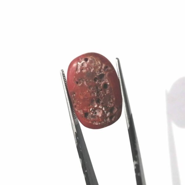 Coral 20.20ct - Image 3