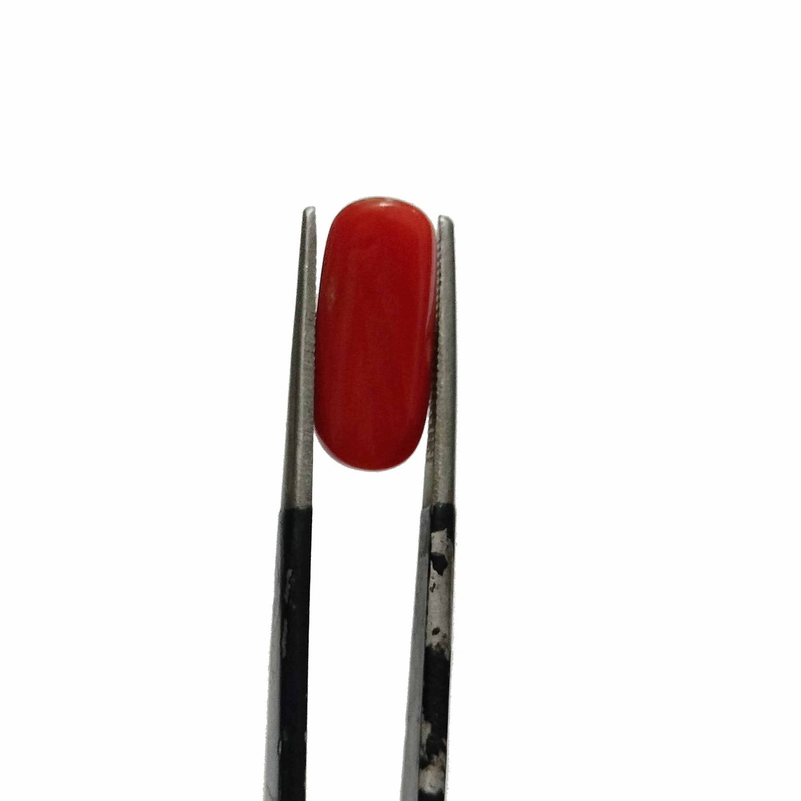 coral Italian 5.30ct - Image 3