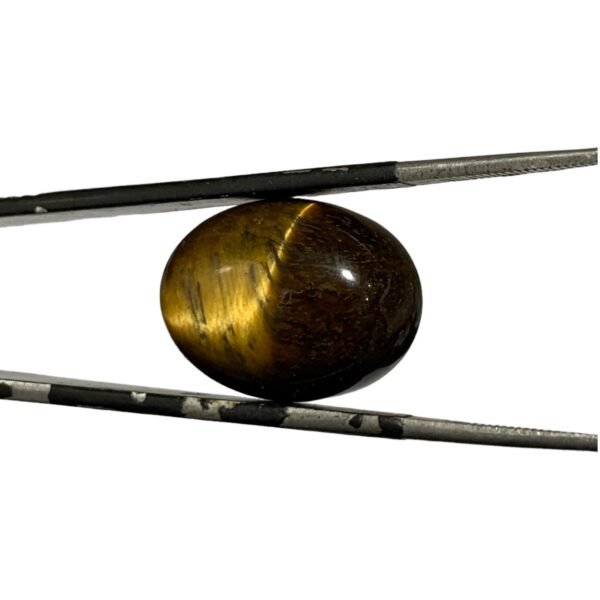 Tiger Eye Stone - 16.55ct