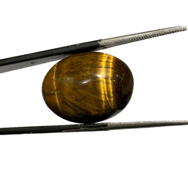 Tiger Eye Stone - 17.65ct