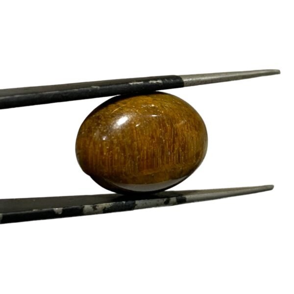Tiger Eye Stone - 16.65ct