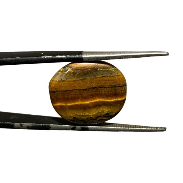 Tiger Eye Stone - 8.90ct