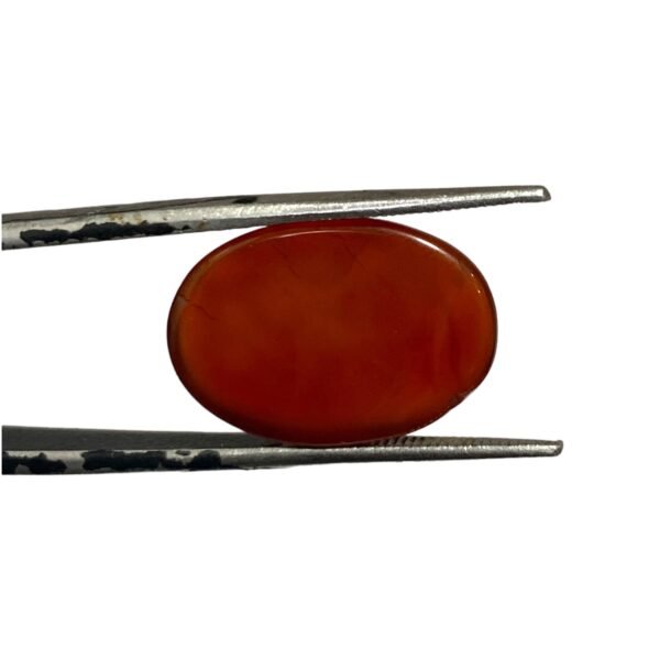 Yamni Agate-9.45ct