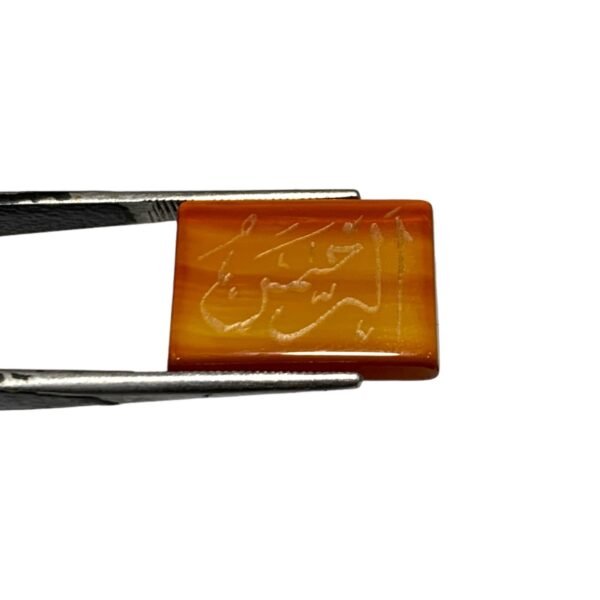 Yamni Agate-8.30ct