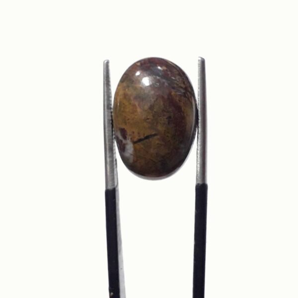 Jasper 10.05ct