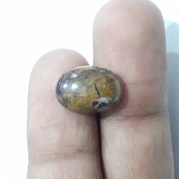 Jasper 10.05ct - Image 2