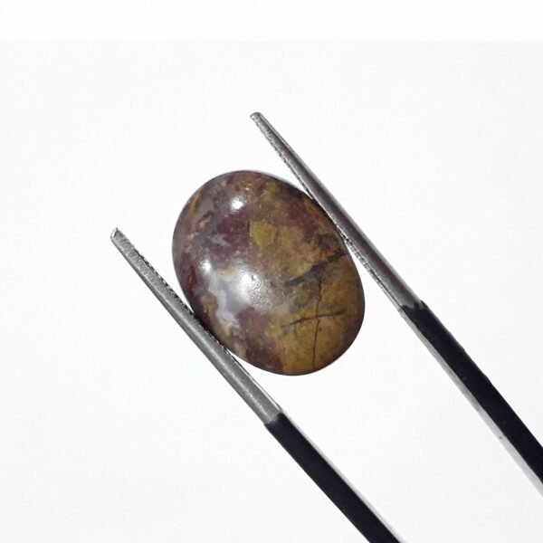 Jasper 10.05ct - Image 4