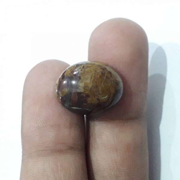 Jasper 18.40ct - Image 2