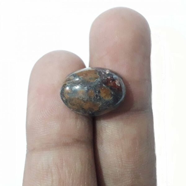 Jasper 13.50ct - Image 2