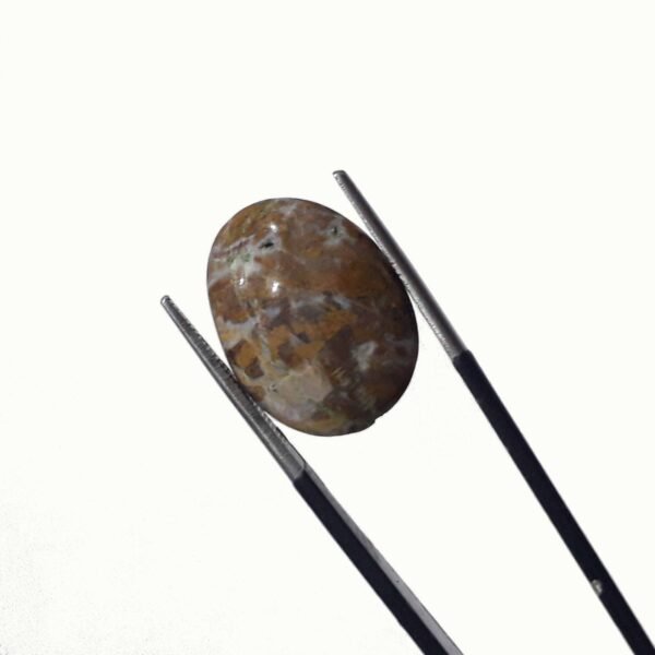 Jasper 12.45ct