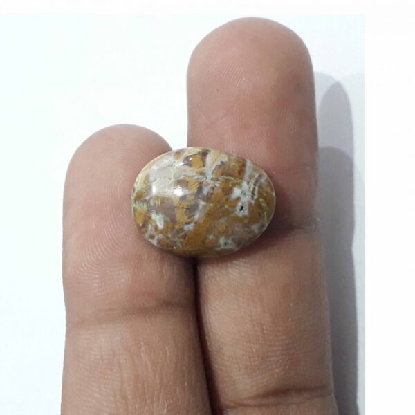 Jasper 12.45ct - Image 2