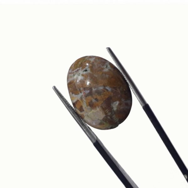 Jasper 12.45ct - Image 3