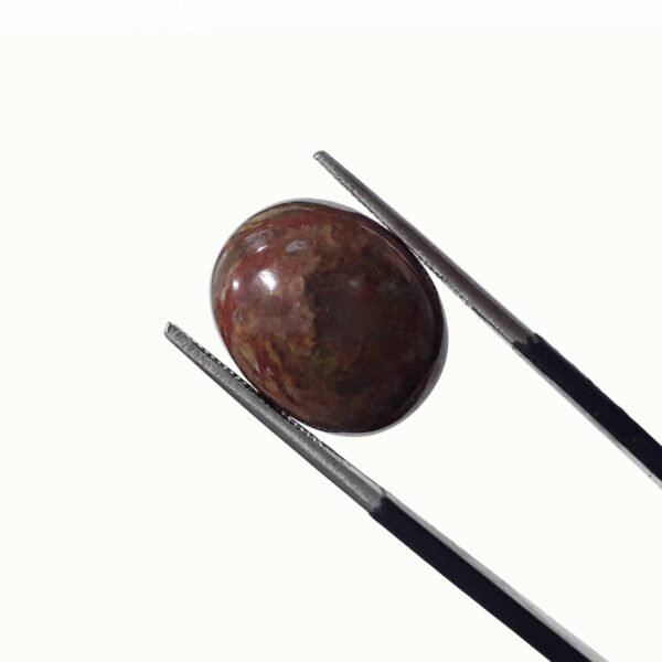 Jasper 10.85ct