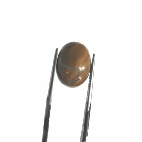 Jasper 10.60ct
