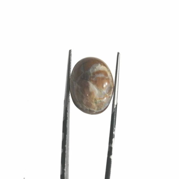 Jasper 16.15ct