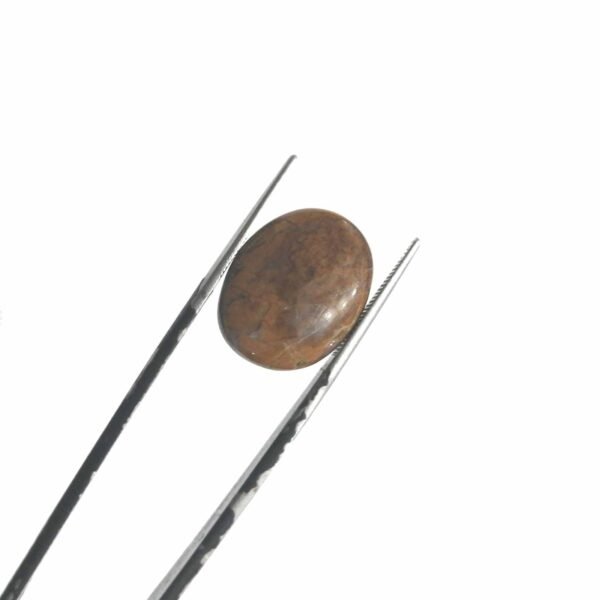 Jasper 16.15ct - Image 2