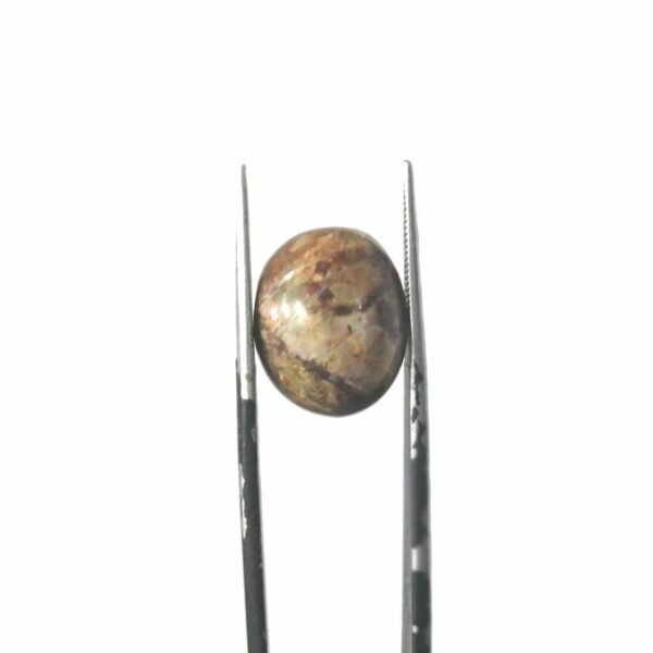 Jasper 9.55ct