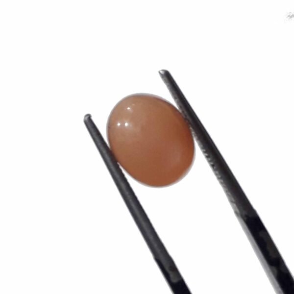 Srilanka Moonstone 2.70ct
