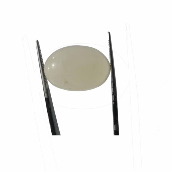 Moonstone 17.60ct