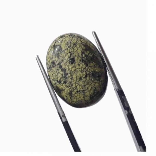 Serpentine 10.30ct - Image 3